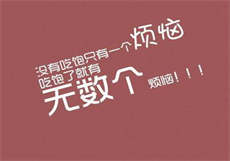 像麻豆这种公司有哪些
